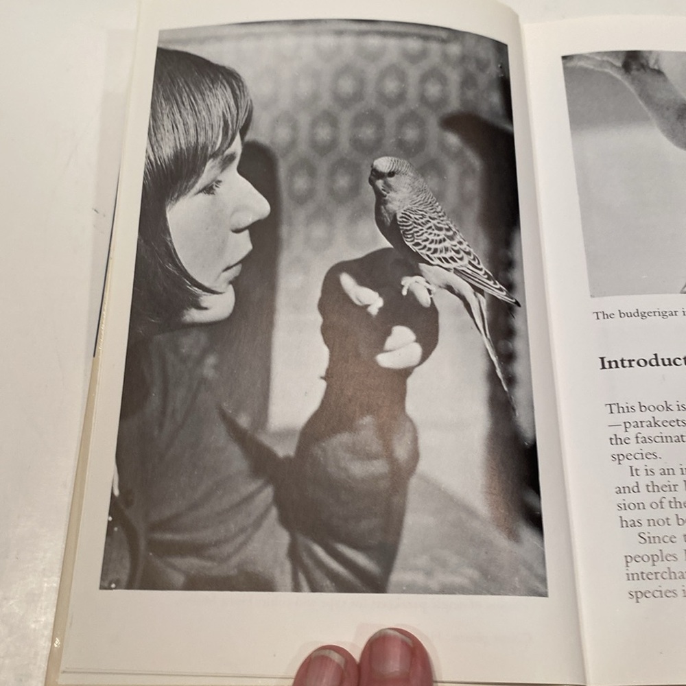 “Pet Library, Parakeet Guide,” - Picture 5 of 7